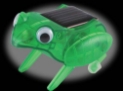 OWI Happy Hopping Frog