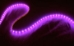 Self-Adhesive Waterproof 2 inch 3 Lights LED Light Strip - Pink - 0-WP-LED-Pink