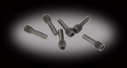 Screw Shaft M4x2x12mm, Black (6): WK